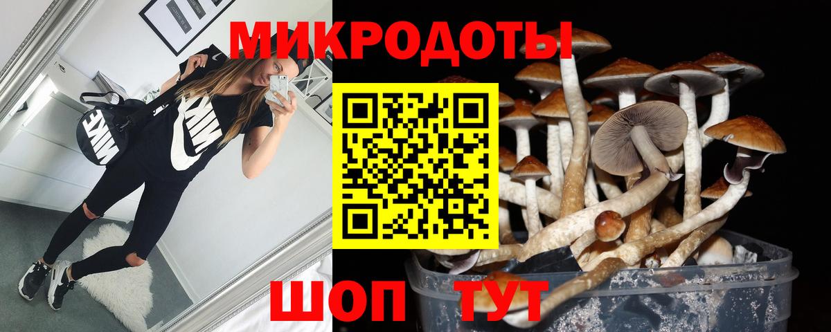 Псилоцибиновые грибы мицелий  Вход с VPN  Псилоцибиновые грибы Psilocybe  Кольчугино 